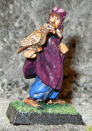 Wizard with falcon