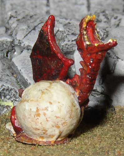 Hatching Dragon